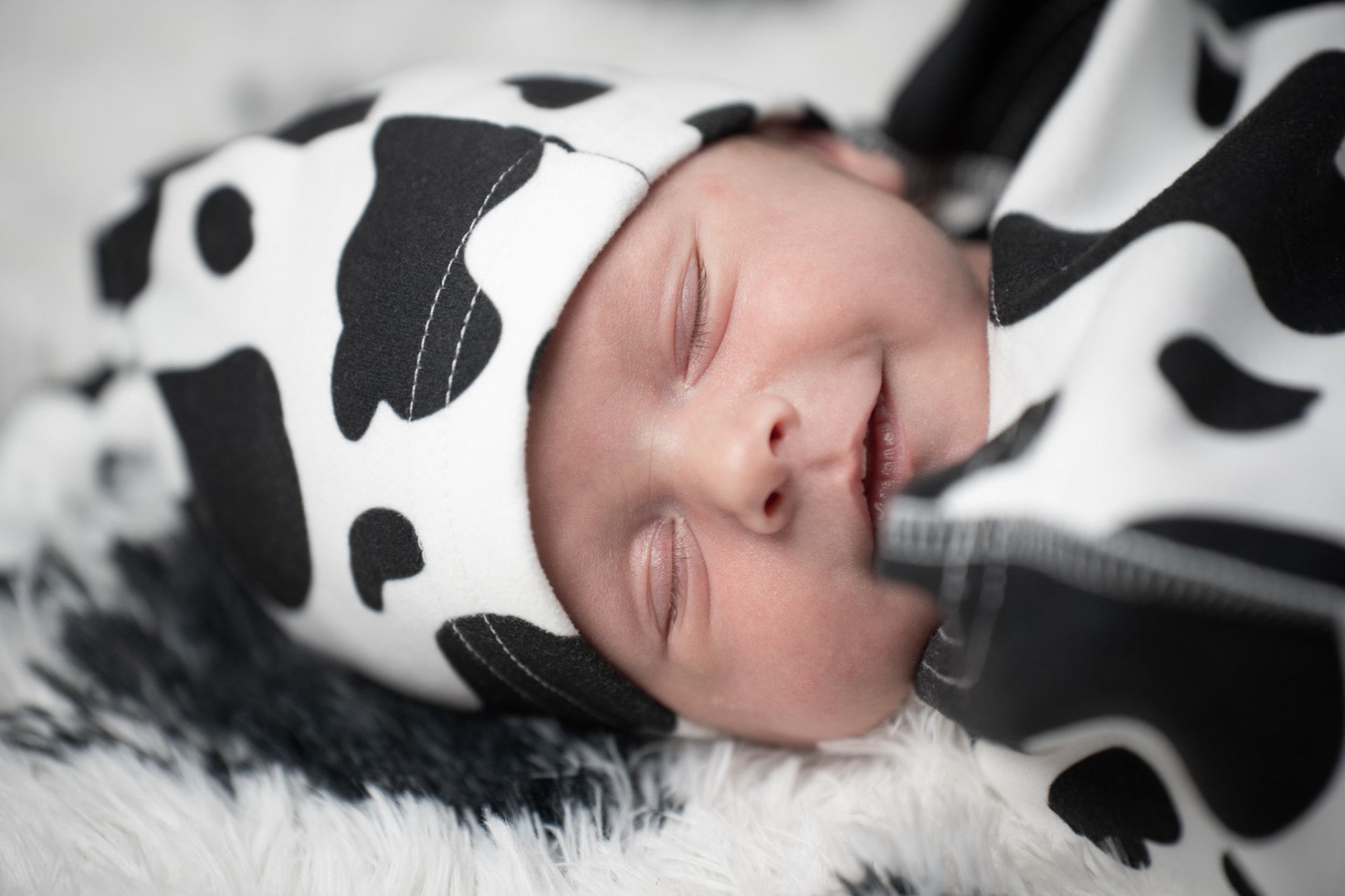 Sleeping newborn wrapped in a soft cow-print outfit and hat