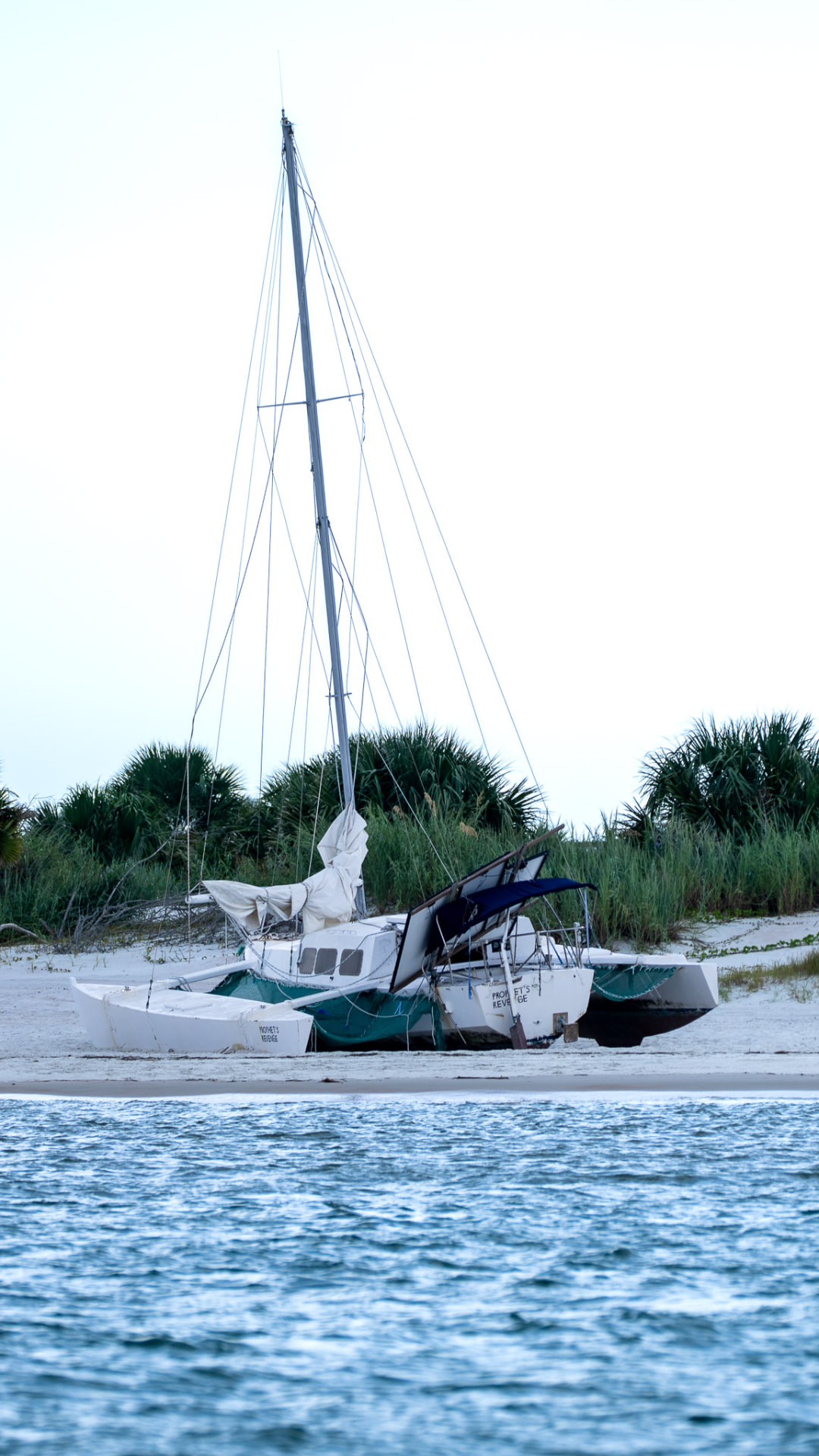 A catamaran sailboat beached on white sand with palms behind it, seen from across calm blue water